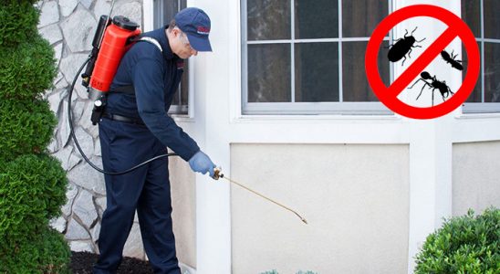 Akşehir Dezenfeksiyon böcek ilaçlama ve haşere kontrolü — ilaclama-tr.com